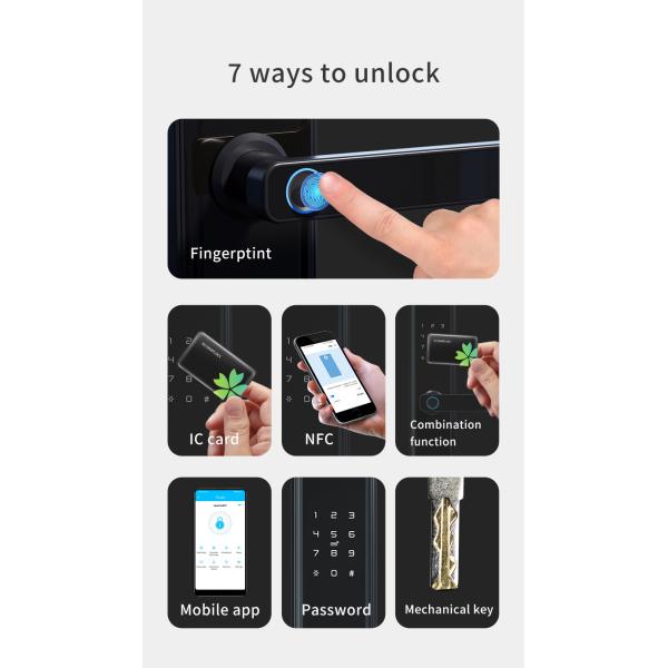 Биометрический умный замок Wifi с замком входа ручки Keyless с отпечатком пальцев