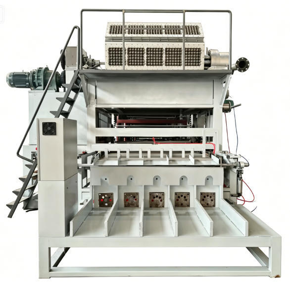 Rotary Paper Egg Tray Machine Egg Carton Production Line 5000 pcs/h Recycled Paper Pulp Molding for Mexican Poultry Farm