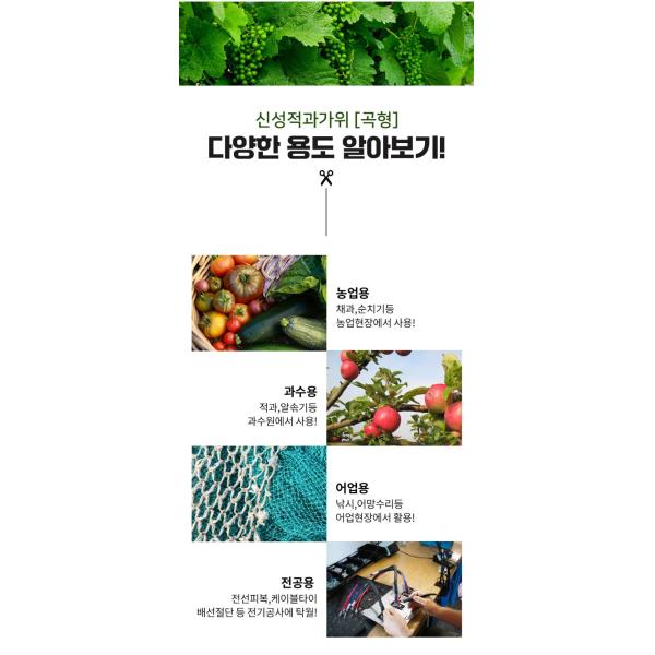 Ultra Sharp Garden Pruning Shears Featuring  High Quality Carbon Steel Blade Long