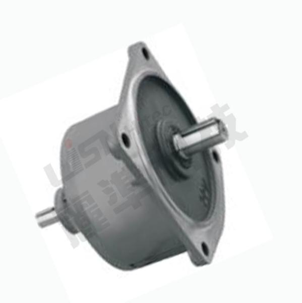 Multipurpose Stable Vertical Gear Reducer , Vibration Resistant Dual Shaft Motor