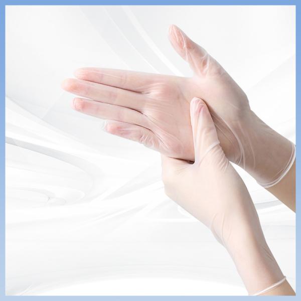 OEM Transparent Disposable PVC Gloves Protective Disposable Exam Gloves
