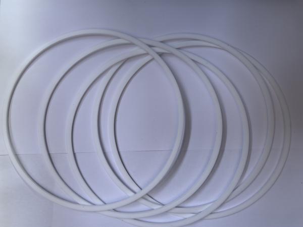PTFE Hydraulic Cylinder Retaining Ring With Rubber Bellow Seal