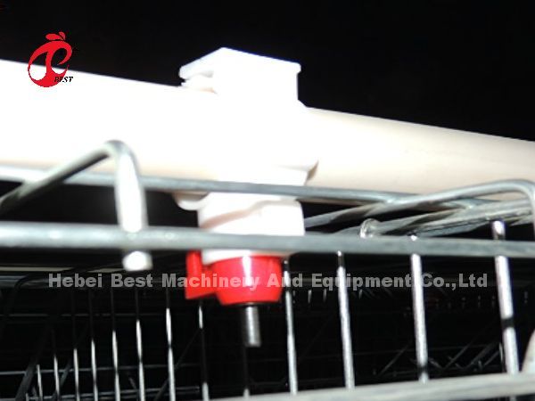 Automatic Layer Battery Cage System Commercial Layer Chicken Cage 3 Tiers Hot Sale Rose