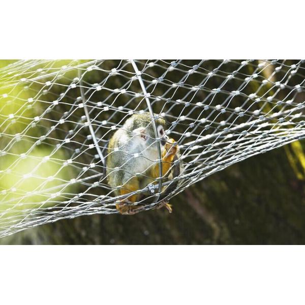 Stainless Steel 316 protective Rope mesh for Animal Enclosure and Decoration