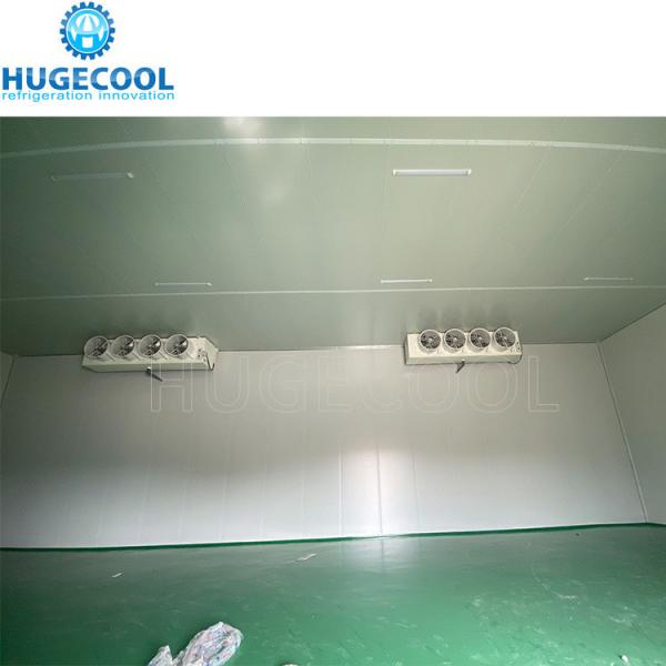 Onion Storage Room Cooler Room with Rack Condensing Unit -10-0C 220V/380V/400V/440V