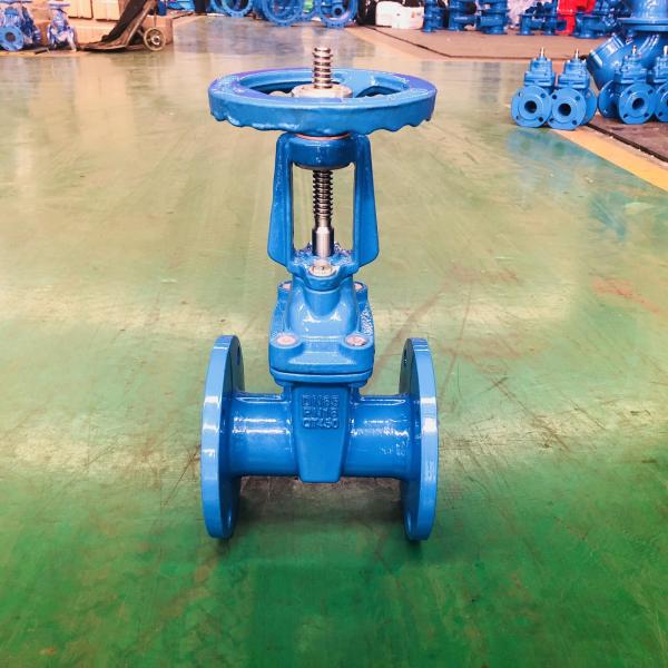 Rising Stem Flange Gate Valve DN40-DN1200 Ductile Iron Valve