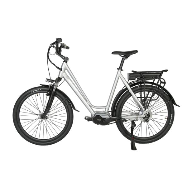 DOMANCA 750w Lady Electric Bike Sensor Smart Type and 18 Speed Gears for City Riding