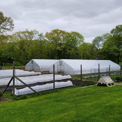 Cheap Tomato Agricultural Plastic Film Cover Low Cost Economic Tunnel Greenhouse For Vegetable