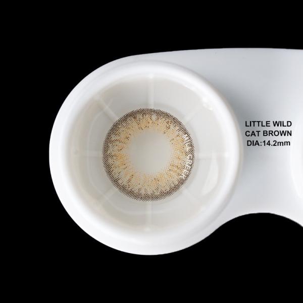 Контакты рецепта маленьких диких контактных линзов зеленого цвета Брауна кота янтарных голубые