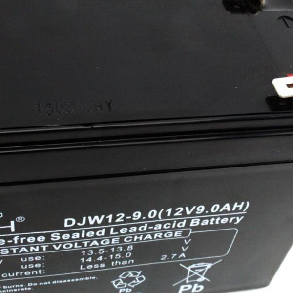 Container Material ABS Leoch DJW12-9.0 Lead Acid Battery 12V9Ah for Eps Power Supply