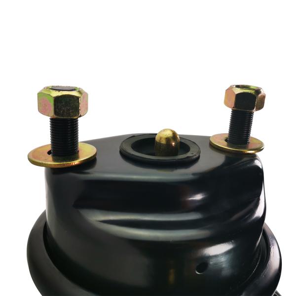 9253840010 тип камера тарельчатого тормоза 1624DD