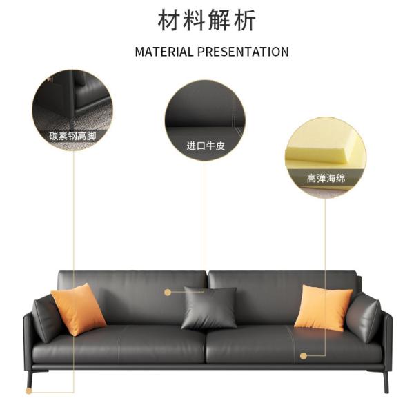 Light Luxury Living Room and Office Sofa Bed Customized Italian Style with Wood Frame