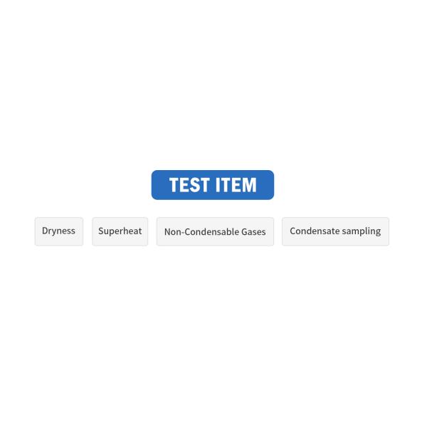 Highly Effective Non-Condensable Gases Pharmaceutical System Pure Steam Testing Kit