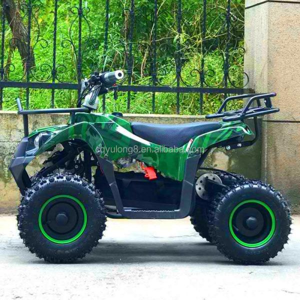 Electric ATV 800w Mini Quad Bike for Adults and Kids Small Off-Road Outdoor Sports Car