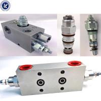 Valve de contre-équilibrage hydraulique personnalisée
