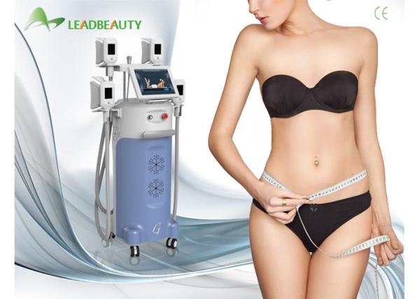 Professional Cryolipolysis Slimming Fat Loss Machines For Women Cellulite Reduction