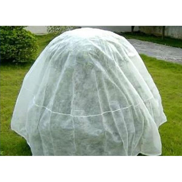 Анти--UV ткань ландшафта земледелия PP Spunbonded Non сплетенная Eco-Содружественная