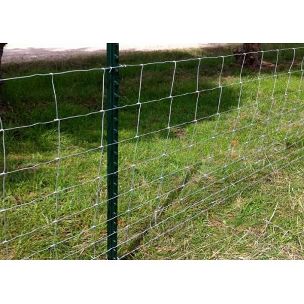 Knited Hinged Farm Mesh Fencing For Forestry / Cow , 2mm Dia Wire
