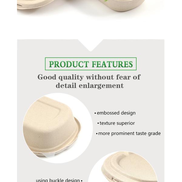 TUV 6 Inch 5 Inch Moulded Clamshell Mini Burger Box