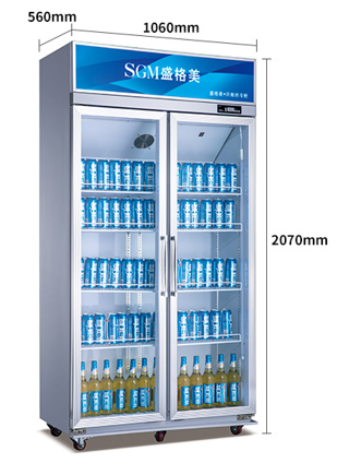 Double-layer Glass Door Upright Display Refrigerator with Customized Input Power Temperature Range 0-10ºC