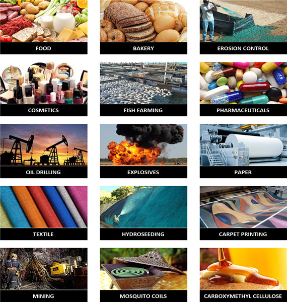 Organic Pure Manufacturers Bulk Farwell Cold Pressed Castor Oil for Cooking