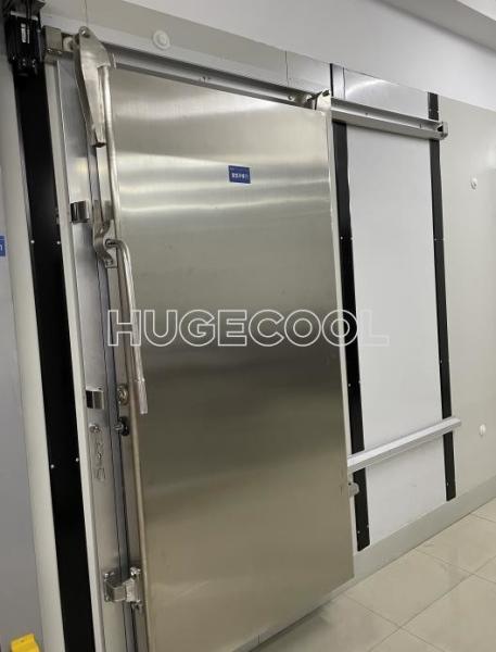 Porta deslizante do congelador/abrigador a frio com cortina de PVC e aço inoxidável