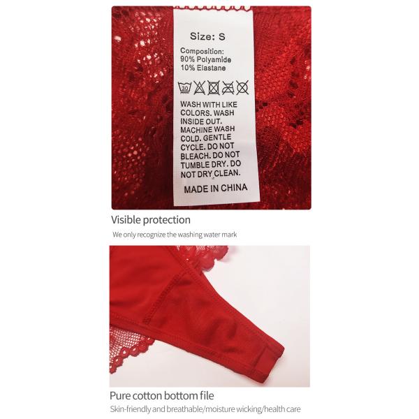 Las bragas de nylon del inconformista con los escritos atractivos ultra suaves del encaje elástico del cordón ven a través de las prendas íntimas de las bragas