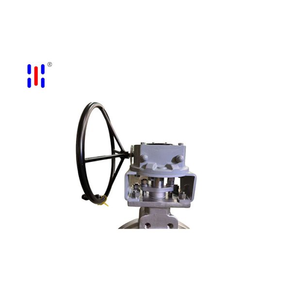 20in Wafer Double Eccentric Butterfly Valves 150LB Sanitary Mirror Polished 304 Offset Flanged