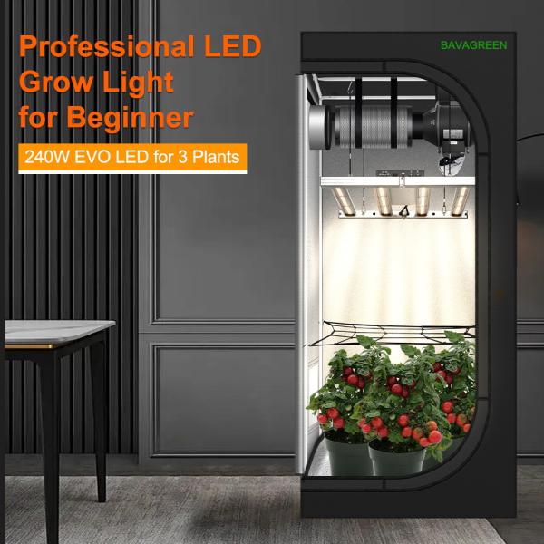 BAVAGREEN 240W Samsung LM301H EVO Mint White LED Pflanzenlampe IR UV Full Spectrum Led Grow Light For 80x80x180 Growbox