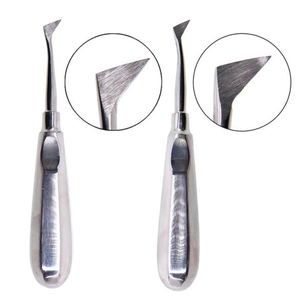 10pcs Dental Elevator Kit Dentist Surgical Tools Stainless Steel Dental Root Elevator