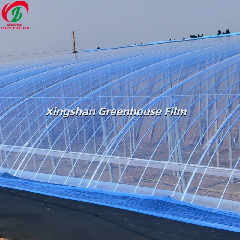7 Layer Co Extruded Greenhouse Plastic UV Resistant Agricultural Covering Film