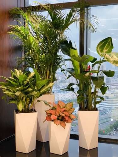 Potes redondos de plantación de fibra de vidrio hechos a mano para la decoración del jardín al aire libre