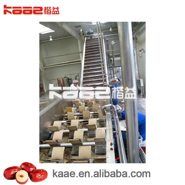 Fully automatic Dates Processing Machine CE jujube deep processing production line