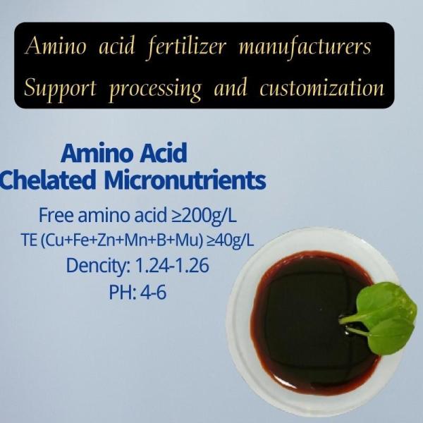 Os micronutrientes Chelated ácido aminado combinam adubos agrícolas do ácido aminado