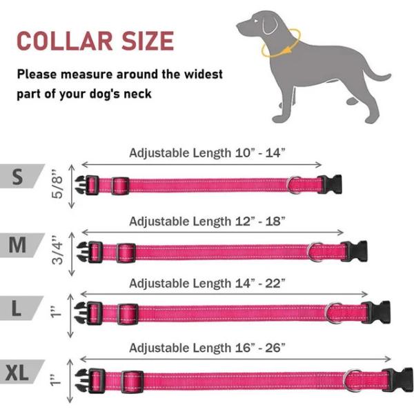 Professional-Grade Reflective Dog Collar - Adjustable Nylon Pet Collar with Safety Features
