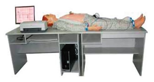 Hospital Simulation / Auscultation Manikin with ECG Simulated Teaching System