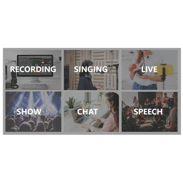 797Audio CR632 Professional 3-Pin XLR Studio Condenser Microphone Light-Weight Customized Recording Mic with Best Price