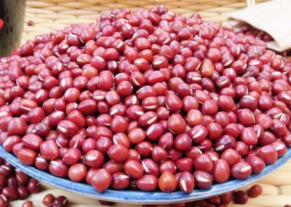Rich Protein Natural Agricultural Products New Crop Common Small Red Beans