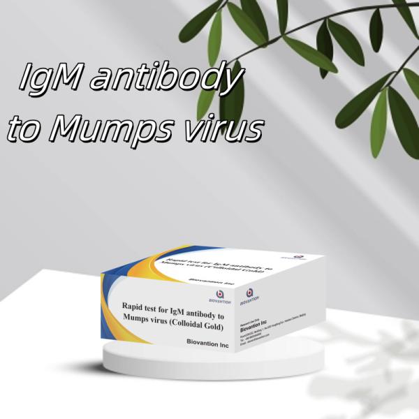 Quick Accurate Colloidal Gold Rapid Test IgM Antibody To Mumps Virus In Cassette/Strip Format For Results