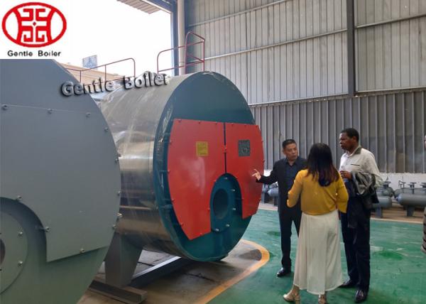 GNL 1.6Mpa do Lpg que aferventa a caldeira do calor de vapor do arroz