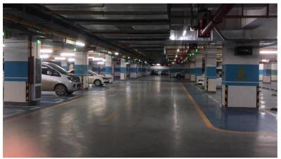 Indoor/Outdoor Parking Guidance System with Customization Possibilities