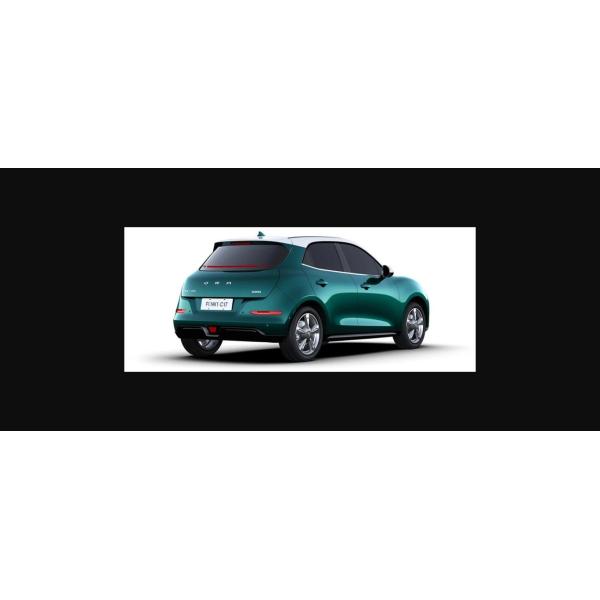 GWM S Ora Cat EV RHD ORA 03 500 Km Range EV В Южной Африке 48 ~ 63 кВтч Мощность батареи