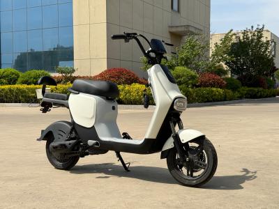 L1-D 350W Electric Two-Wheeler