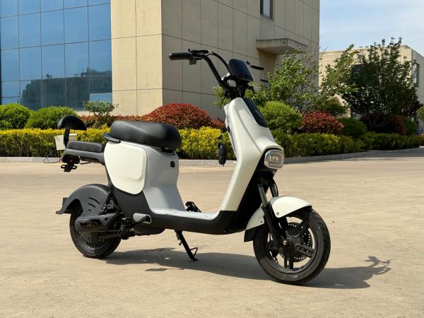 L1-D 350W Electric Two-Wheeler