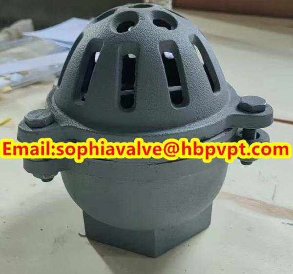 BRITISH STANDARD BS21 cast iron threaded foot valve contact Sophie