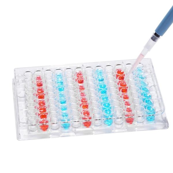 Plastic Sterile 4 6 12 24 48 96 384 Wells Tissue Culture Plate Cell Culture Plate For Lab Free Sample Free Shipping
