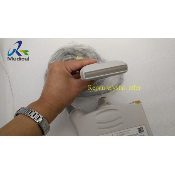 Reparación linear del ultrasonido de la punta de prueba de Toshiba PLT 1005BT