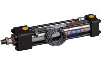 La détection magnétique chauffent le cylindre d'huile hydraulique de tiges de renfort de double de preuve avec de la pression