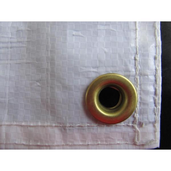 brass eyelets sewn poly tarp,  tarps, plastic tarpaulin