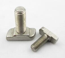 Din7992 Class 4.8 Stainless Steel T Type Bolt For Rail M6 - M36 Size